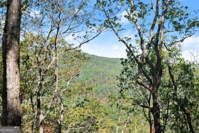 Discovering the Dream: Estate-Sized Lot in Habersham County on The Orchard Golf and Country Club in Georgia - for sale on GolfHomes.com, golf home, golf lot