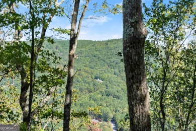 Discovering the Dream: Estate-Sized Lot in Habersham County on The Orchard Golf and Country Club in Georgia - for sale on GolfHomes.com, golf home, golf lot