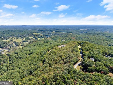 Discovering the Dream: Estate-Sized Lot in Habersham County on The Orchard Golf and Country Club in Georgia - for sale on GolfHomes.com, golf home, golf lot