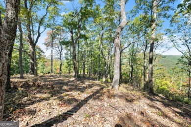 Discovering the Dream: Estate-Sized Lot in Habersham County on The Orchard Golf and Country Club in Georgia - for sale on GolfHomes.com, golf home, golf lot