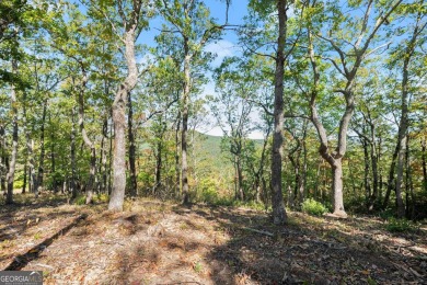 Discovering the Dream: Estate-Sized Lot in Habersham County on The Orchard Golf and Country Club in Georgia - for sale on GolfHomes.com, golf home, golf lot