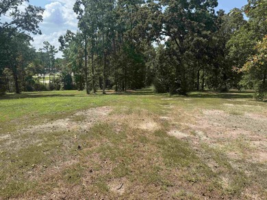 Rayburn Country  1/4  Acre Lot - Lake Area Living! Discover the on Rayburn Country Club in Texas - for sale on GolfHomes.com, golf home, golf lot