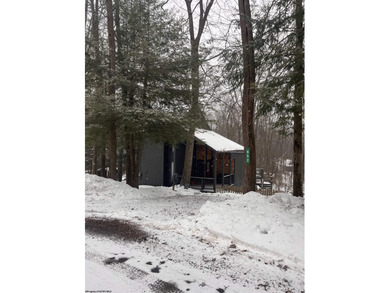 Welcome to Alpine Lake Resort--where comfort, scenery, and on Alpine Lake Resort in West Virginia - for sale on GolfHomes.com, golf home, golf lot