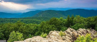 || NATURE LOVER'S PARADISE || || OUTDOOR ENTHUSIAST'S DREAM || on Big Canoe Golf Club - Cherokee in Georgia - for sale on GolfHomes.com, golf home, golf lot