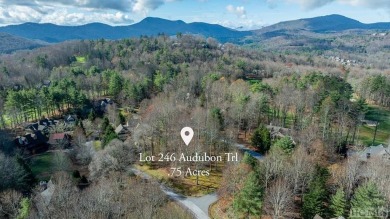 This near level with easy access points, 0.75-acre parcel offers on Trillium Links in North Carolina - for sale on GolfHomes.com, golf home, golf lot