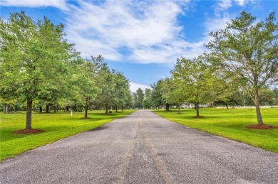 Gorgeous .778-acre lot w/171 ft of pristine marsh front offers on Sapelo Hammock Golf Club in Georgia - for sale on GolfHomes.com, golf home, golf lot