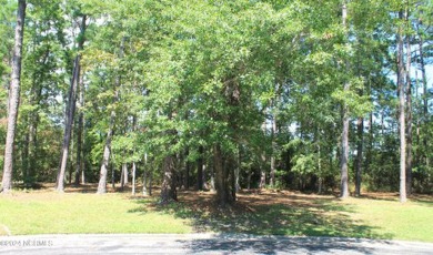 Build a house of your choosing on this lot in the amenity rich on Carolina National Golf Club in North Carolina - for sale on GolfHomes.com, golf home, golf lot