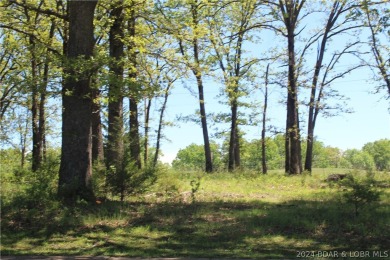 This attractive corner lot is ideally situated on Apache Drive on Indian Rock Golf Club in Missouri - for sale on GolfHomes.com, golf home, golf lot