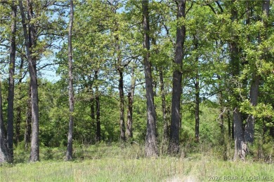 This attractive corner lot is ideally situated on Apache Drive on Indian Rock Golf Club in Missouri - for sale on GolfHomes.com, golf home, golf lot