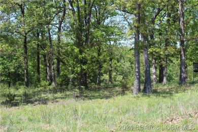 This attractive corner lot is ideally situated on Apache Drive on Indian Rock Golf Club in Missouri - for sale on GolfHomes.com, golf home, golf lot