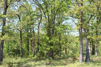 This attractive corner lot is ideally situated on Apache Drive on Indian Rock Golf Club in Missouri - for sale on GolfHomes.com, golf home, golf lot