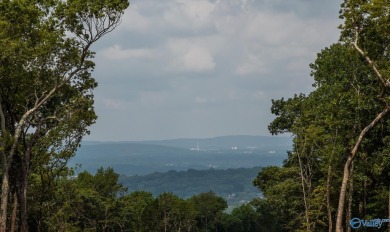 AWESOME LOT w/ PAID CAPITALIZATION FEE & INCREDIBLE VIEW-Come on The Ledges Country Club in Alabama - for sale on GolfHomes.com, golf home, golf lot