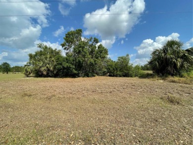 LOOKING FOR THE PERFECT LOT WITH THE PERFECT LOCATION? OVERSIZED on Sunnybreeze Golf Course in Florida - for sale on GolfHomes.com, golf home, golf lot