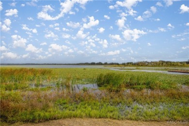 ASSUMABLE MORTGAGE at an incredible 2.375% interest rate! This on Miona Lake Golf Club in Florida - for sale on GolfHomes.com, golf home, golf lot