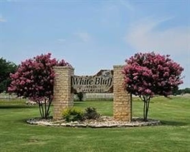 This is a beautiful lot in the coveted White Bluff Resort. Lot on White Bluff Resort - New Course in Texas - for sale on GolfHomes.com, golf home, golf lot