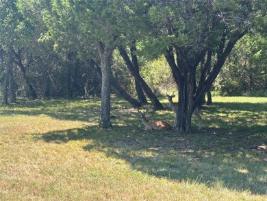 This is a beautiful lot in the coveted White Bluff Resort. Lot on White Bluff Resort - New Course in Texas - for sale on GolfHomes.com, golf home, golf lot
