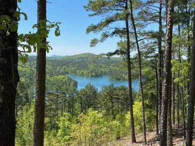 Prime Hwy 5 frontage & entrance to Hot Springs Village property on Isabella Golf Course  in Arkansas - for sale on GolfHomes.com, golf home, golf lot