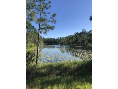 Single Family Residence home site located with a small pond on on Sharks Tooth Golf Club in Florida - for sale on GolfHomes.com, golf home, golf lot