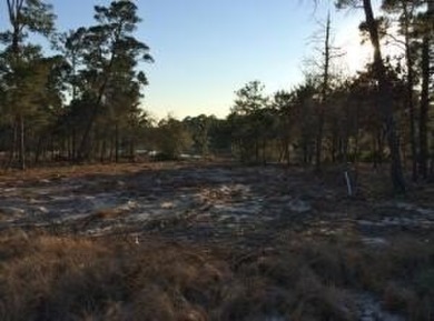 Single Family Residence home site located with a small pond on on Sharks Tooth Golf Club in Florida - for sale on GolfHomes.com, golf home, golf lot