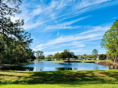 Discover Your Exquisitely Updated Retirement Oasis in Schalamar on Schalamar Creek Golf and Country Club in Florida - for sale on GolfHomes.com, golf home, golf lot