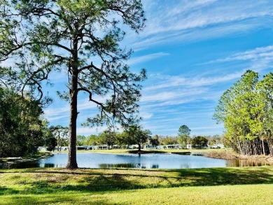 Discover Your Exquisitely Updated Retirement Oasis in Schalamar on Schalamar Creek Golf and Country Club in Florida - for sale on GolfHomes.com, golf home, golf lot