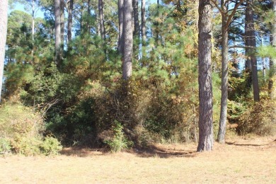 1/1140  Corner, Level, wooded lot (10452 sq ft) with water & on Captains Cove Golf and Yacht Club in Virginia - for sale on GolfHomes.com, golf home, golf lot