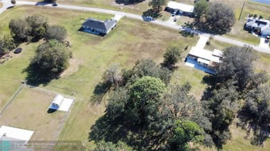 This spacious 0.71-acre lot in the serene Spring Lake Village on Spring Lake Golf Resort in Florida - for sale on GolfHomes.com, golf home, golf lot