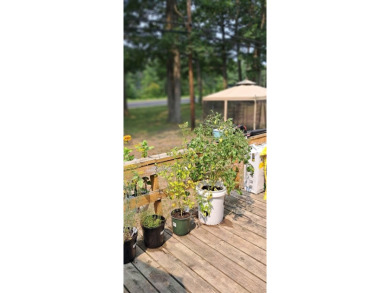 Welcome to this charming 2-bedroom, 1-bath getaway, perfectly on The Loon Golf Resort in Michigan - for sale on GolfHomes.com, golf home, golf lot