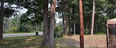 Welcome to this charming 2-bedroom, 1-bath getaway, perfectly on The Loon Golf Resort in Michigan - for sale on GolfHomes.com, golf home, golf lot