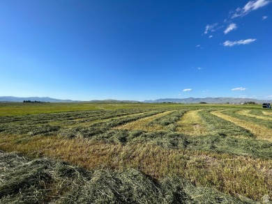 Lot 5: Build Your Dream Retreat - Rare Acreage in Prime on Montpelier Golf Course in Idaho - for sale on GolfHomes.com, golf home, golf lot