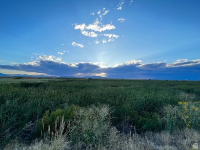 Lot 5: Build Your Dream Retreat - Rare Acreage in Prime on Montpelier Golf Course in Idaho - for sale on GolfHomes.com, golf home, golf lot