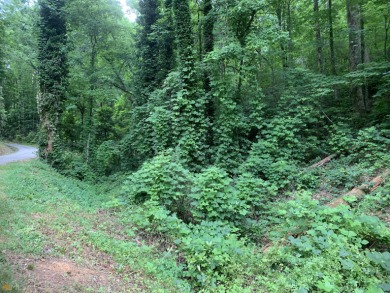Residential lot with great potential!! Just within city limits on Rabun Golf Club in Georgia - for sale on GolfHomes.com, golf home, golf lot
