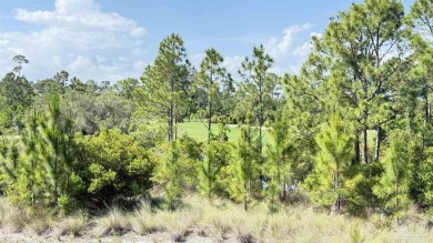 OPEN HOUSE: Saturday, May 31st from 10:00AM - 1:00PM. Welcome to on Lost Key Golf Club in Florida - for sale on GolfHomes.com, golf home, golf lot