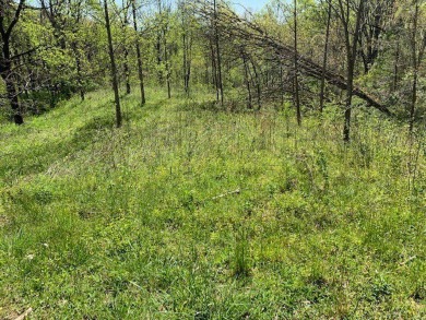 Large 206 acre lot in quiet established community of upscale on Mountain Harbour Golf Club in North Carolina - for sale on GolfHomes.com, golf home, golf lot