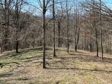 Large 206 acre lot in quiet established community of upscale on Mountain Harbour Golf Club in North Carolina - for sale on GolfHomes.com, golf home, golf lot