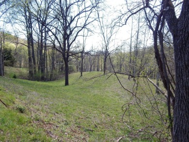 Large 206 acre lot in quiet established community of upscale on Mountain Harbour Golf Club in North Carolina - for sale on GolfHomes.com, golf home, golf lot