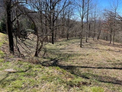 Large 206 acre lot in quiet established community of upscale on Mountain Harbour Golf Club in North Carolina - for sale on GolfHomes.com, golf home, golf lot