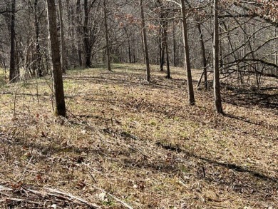 Large 206 acre lot in quiet established community of upscale on Mountain Harbour Golf Club in North Carolina - for sale on GolfHomes.com, golf home, golf lot