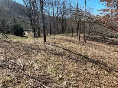 Large 206 acre lot in quiet established community of upscale on Mountain Harbour Golf Club in North Carolina - for sale on GolfHomes.com, golf home, golf lot