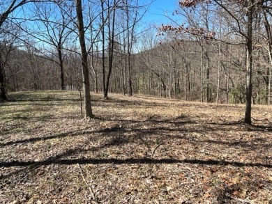 Large 206 acre lot in quiet established community of upscale on Mountain Harbour Golf Club in North Carolina - for sale on GolfHomes.com, golf home, golf lot