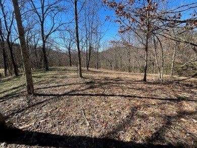 Large 206 acre lot in quiet established community of upscale on Mountain Harbour Golf Club in North Carolina - for sale on GolfHomes.com, golf home, golf lot