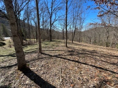 Large 206 acre lot in quiet established community of upscale on Mountain Harbour Golf Club in North Carolina - for sale on GolfHomes.com, golf home, golf lot