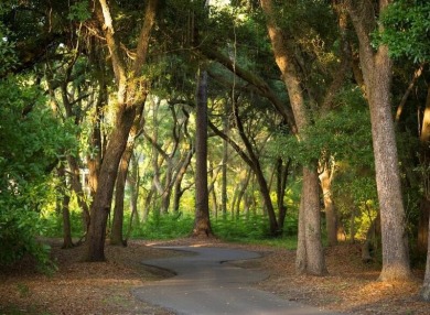 Take in stunning water and marsh views from this deepwater on Kiawah Island Resort - Oak Point in South Carolina - for sale on GolfHomes.com, golf home, golf lot