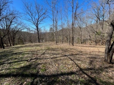 Large 206 acre lot in quiet established community of upscale on Mountain Harbour Golf Club in North Carolina - for sale on GolfHomes.com, golf home, golf lot