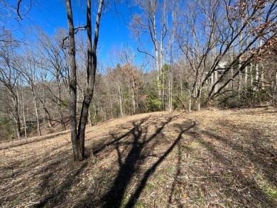 Large 206 acre lot in quiet established community of upscale on Mountain Harbour Golf Club in North Carolina - for sale on GolfHomes.com, golf home, golf lot