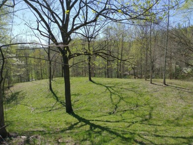 Large 206 acre lot in quiet established community of upscale on Mountain Harbour Golf Club in North Carolina - for sale on GolfHomes.com, golf home, golf lot