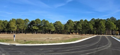 Spectacular Corner Lot with 112 ft on the Fairway on the Jack on Bay Creek Golf Club in Virginia - for sale on GolfHomes.com, golf home, golf lot