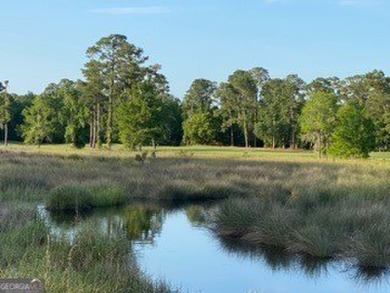 Welcome to Lot 504 on Holm Place, a prime homesite nestled in on The Club At Osprey Cove in Georgia - for sale on GolfHomes.com, golf home, golf lot