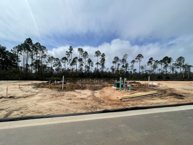 Welcome to The Villas at Longleaf Park in the Watersound Origins on Origins Golf Club in Florida - for sale on GolfHomes.com, golf home, golf lot