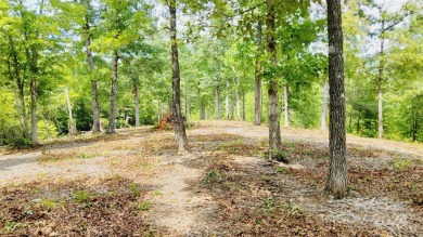 MOUNTAIN VIEWS GALORE on Lots 20 & 21 with 3+ Acres in Tatanka on Rumbling Bald Resort on Lake Lure in North Carolina - for sale on GolfHomes.com, golf home, golf lot